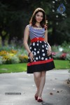 Tamanna New Gallery - 14 of 73