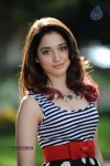 Tamanna New Gallery - 17 of 73
