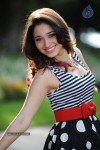 Tamanna New Gallery - 37 of 73
