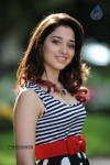 Tamanna New Gallery - 64 of 73
