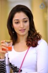 tamanna-hot-photo-gallery
