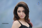 Tamanna Hot Photos - 75 of 151