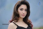 Tamanna Hot Photos - 68 of 151