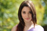 tamanna-hot-photos