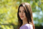 tamanna-hot-photos