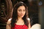 Tamanna Latest Stills - 22 of 65