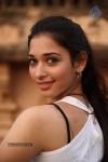 tamanna-latest-stills