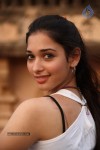 Tamanna Latest Stills - 26 of 65