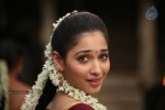 Tamanna Latest Stills - 31 of 65