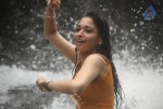 tamanna-latest-stills