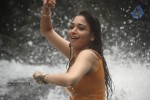 Tamanna Latest Stills - 34 of 65