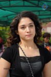 Tamanna New Gallery - 31 of 67