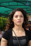 Tamanna New Gallery - 56 of 67