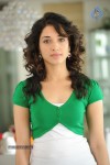 Tamanna New Gallery - 57 of 67