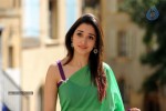 Tamanna New Photo Gallery - 18 of 69
