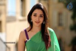 Tamanna New Photo Gallery - 43 of 69