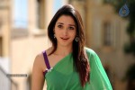 Tamanna New Photo Gallery - 48 of 69