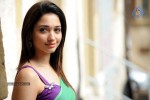 Tamanna New Photo Gallery - 60 of 69