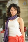 Tamanna New Photos - 40 of 69