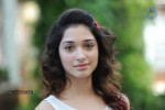 Tamanna New Photos - 51 of 69