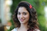 Tamanna New Photos - 53 of 69