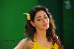 Tamanna New Spicy Photos - 40 of 89