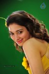 Tamanna New Spicy Photos - 62 of 89