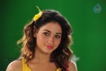 Tamanna New Spicy Photos - 83 of 89