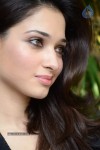 Tamanna New Stills - 24 of 82