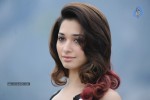 Tamanna Photo Gallery - 38 of 110