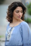 Tamanna Photo Gallery - 92 of 110