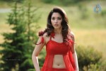 tamanna-spicy-stills