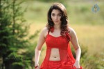 tamanna-spicy-stills