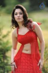 Tamanna Spicy Stills - 91 of 102