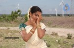 Tamil Actress Rama Stills - 11 of 56