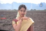 Tamil Actress Rama Stills - 13 of 56
