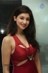 tanvi-vyas-new-gallery