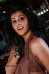 Tapsee Hot Gallery - 21 of 77