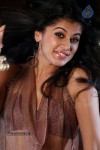 Tapsee Hot Gallery - 35 of 77