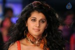 Tapsee Hot Gallery - 20 of 66