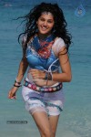 Tapsee Hot Gallery - 22 of 66