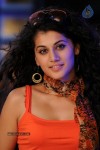 Tapsee Hot Gallery - 24 of 66