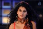 Tapsee Hot Gallery - 28 of 66