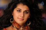 Tapsee Hot Gallery - 30 of 66