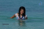 Tapsee Hot Gallery - 33 of 66