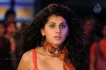 Tapsee Hot Gallery - 35 of 66