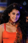 Tapsee Hot Gallery - 36 of 66