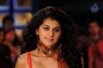 Tapsee Hot Gallery - 37 of 66