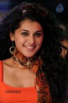 Tapsee Hot Gallery - 38 of 66