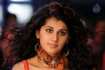 Tapsee Hot Gallery - 39 of 66